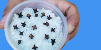 Kupatilo moje svekrve uvek lepo miriše, samo otvori vrata: 0V0 JE NJENA TAJNA! - featured image