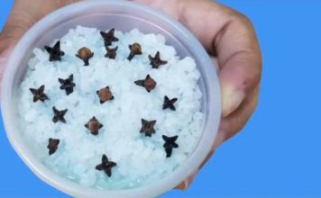 Kupatilo moje svekrve uvek lepo miriše, samo otvori vrata: 0V0 JE NJENA TAJNA! - featured image