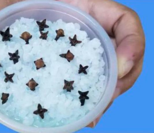 Kupatilo moje svekrve uvek lepo miriše, samo otvori vrata: 0V0 JE NJENA TAJNA! - featured image