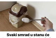 Svaki smrad u stanu će ODMAH nestati ako koristite ovaj jednostavan TRIK! - featured image