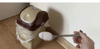 Svaki smrad u stanu će ODMAH nestati ako koristite ovaj jednostavan TRIK! - featured image