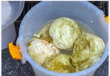 Evo kako spasiti gnjecavi kiseli kupus: Dodajte u bure 1 sastojak! - featured image