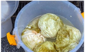 Evo kako spasiti gnjecavi kiseli kupus: Dodajte u bure 1 sastojak! Evo kako spasiti gnjecavi kiseli kupus: Dodajte u bure 1 sastojak! - featured image