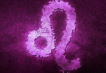 Lav – njegovoj moći i harizmi nema kraja: pleni gde god da se pojavi, ali ako ga povredite čuvajte se!