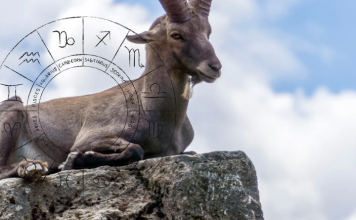 Jarac stena, oslonac i podrška u jednom, ali laž ne oprašta: tada se gubi kao da nikada nije ni postojao.