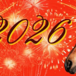 17. FEBRUARA POČINJE KINESKA NOVA GODINA evo horoskoppa za sve znake zodijaka.