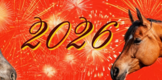 17. FEBRUARA POČINJE KINESKA NOVA GODINA evo horoskoppa za sve znake zodijaka.