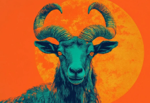 JARAC – Sudbina sprema čudo sledeće sedmice posle dugog tereta, dolazi olakšanje koje vraća snagu, veru i osećaj da nisi sam.