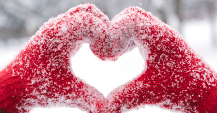 2H - 2026-01-24T112332.336