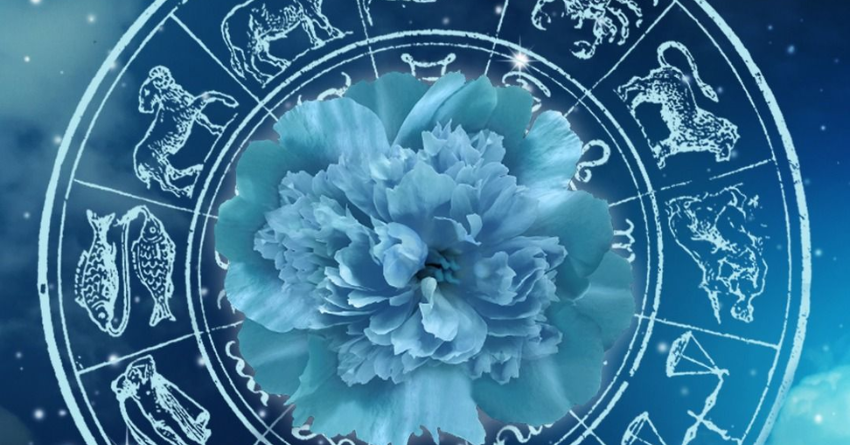 2H - 2026-02-13T125633.131