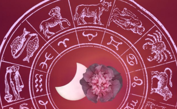 SUDBINSKI PREOKRET ZA TRI VAZDUŠNA ZNAKA TOKOM VIKENDA Blizanci Vaga Vodolija