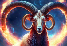 Karmički preokret nedelje: Istina izlazi, pravda stiže za Jarca