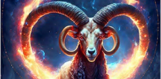 Karmički preokret nedelje: Istina izlazi, pravda stiže za Jarca