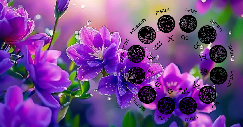 2H - 2026-03-16T095637.808