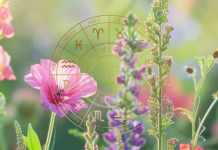 Saznajte šta vas čeka u naredna tri dana ,sudbina pokreće događaje, emocije se bude, a neke odluke menjaju sve!