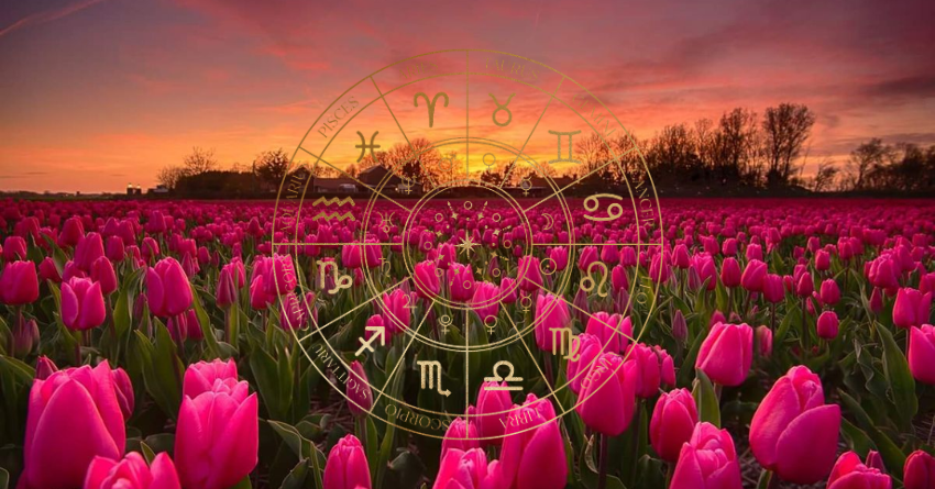 2H - 2026-03-27T095332.272