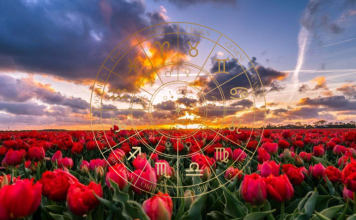 April menja sudbine: Nekome novac, nekome ljubav, a nekome suze!