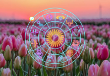 SREĆA NA KRAJU SEDMICE ZA SVE ZNAKOVE ZODIJAKA: Evo kome dolazi osmeh, a kome preokret!