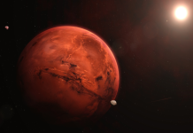 UTICAJ MLADOG MJESECA U OVNU: Ovnu i Ribama donosi ostvarenje životne želje, a ovaj znak napokon izlazi iz dugova!