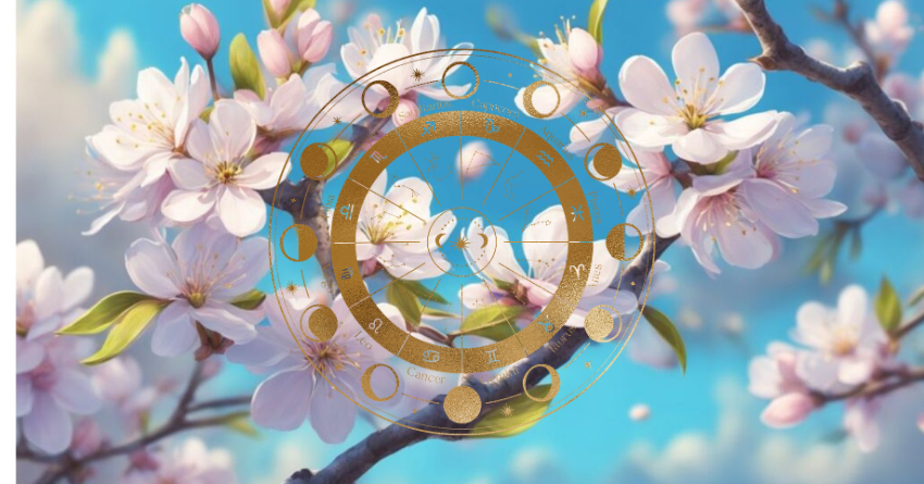 2H - 2026-04-08T145649.165