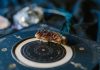 KINESKI HOROSKOP ZA NAREDNIH 10 DANA: Sudbina svakog znaka otkrivena, za jednog je ovaj period SAVRŠEN!